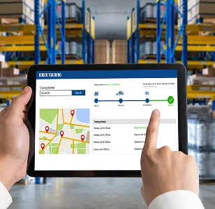 Delivery system